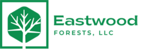 Eastwood logo image